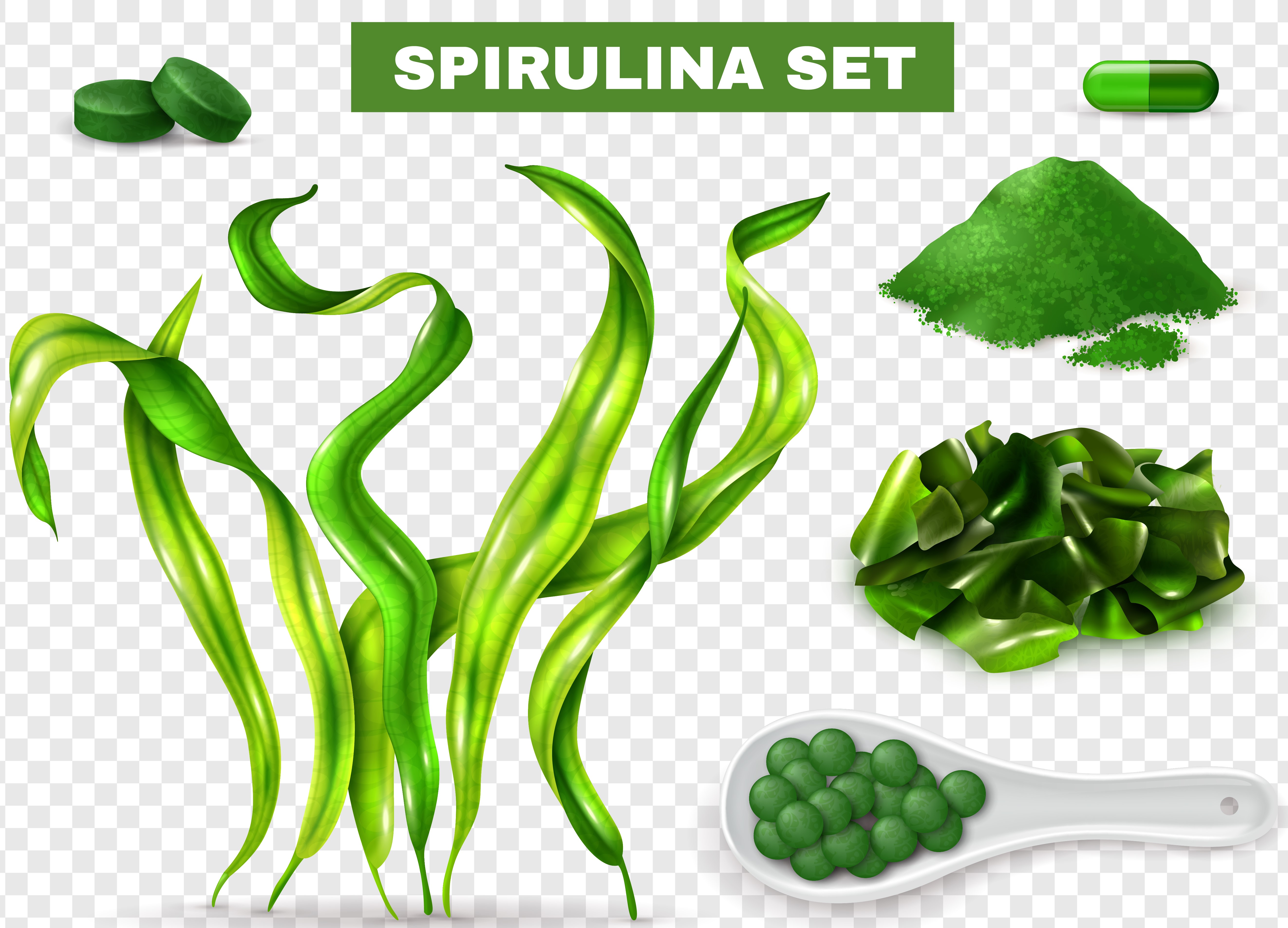 Spirulina Realistic Transparent Set