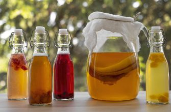 Чайный гриб